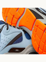 DI°R B22 Blue Light