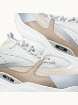 DI°R B22 Salmon